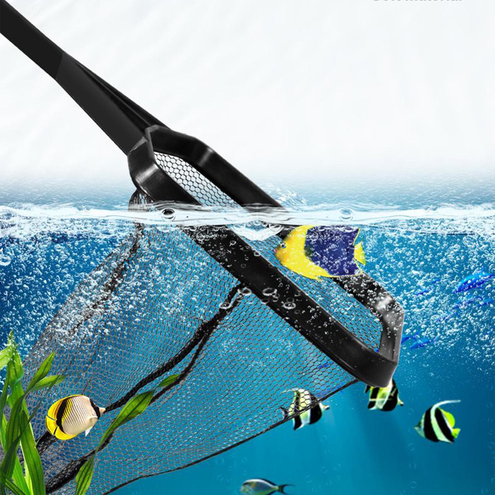 Rete per acquario, rete skimme - Pool Skimmer Net recensione e prezzo