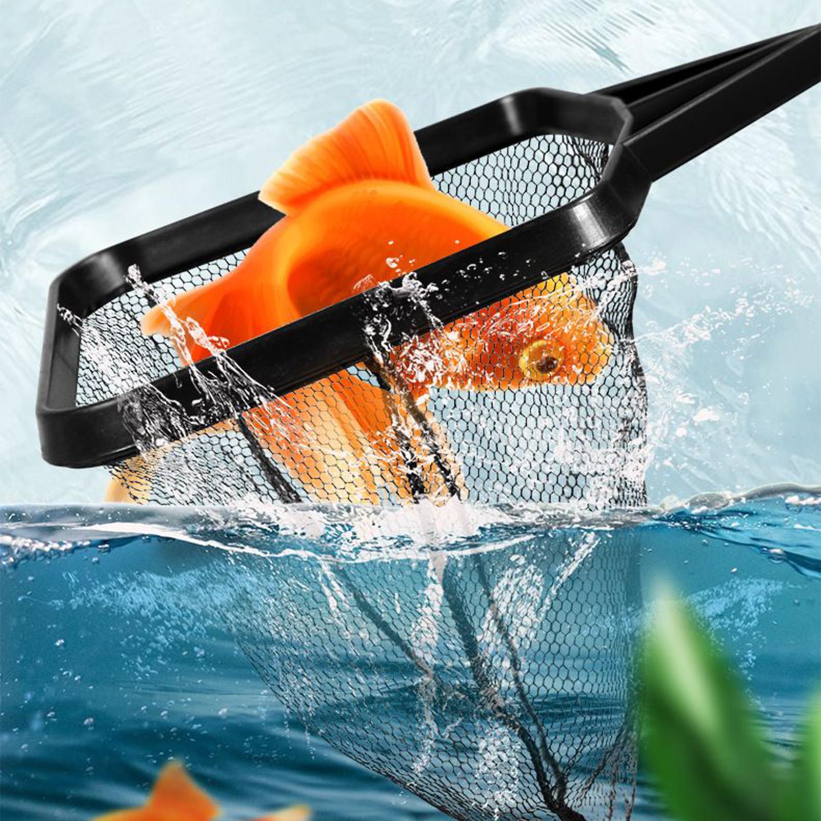 Rete per acquario, rete skimme - Pool Skimmer Net recensione e prezzo