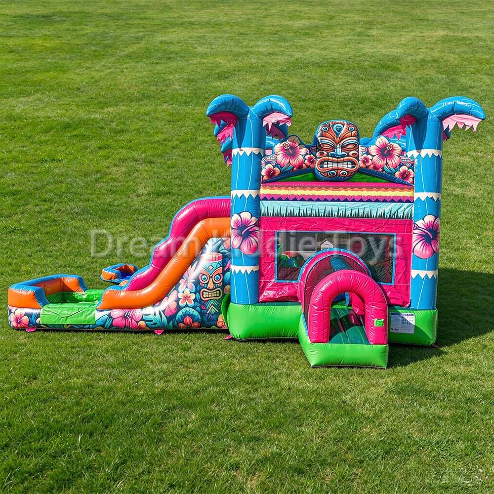 Casa Gonfiabile Commerciale co - Water Slide Inflatable recensione e prezzo