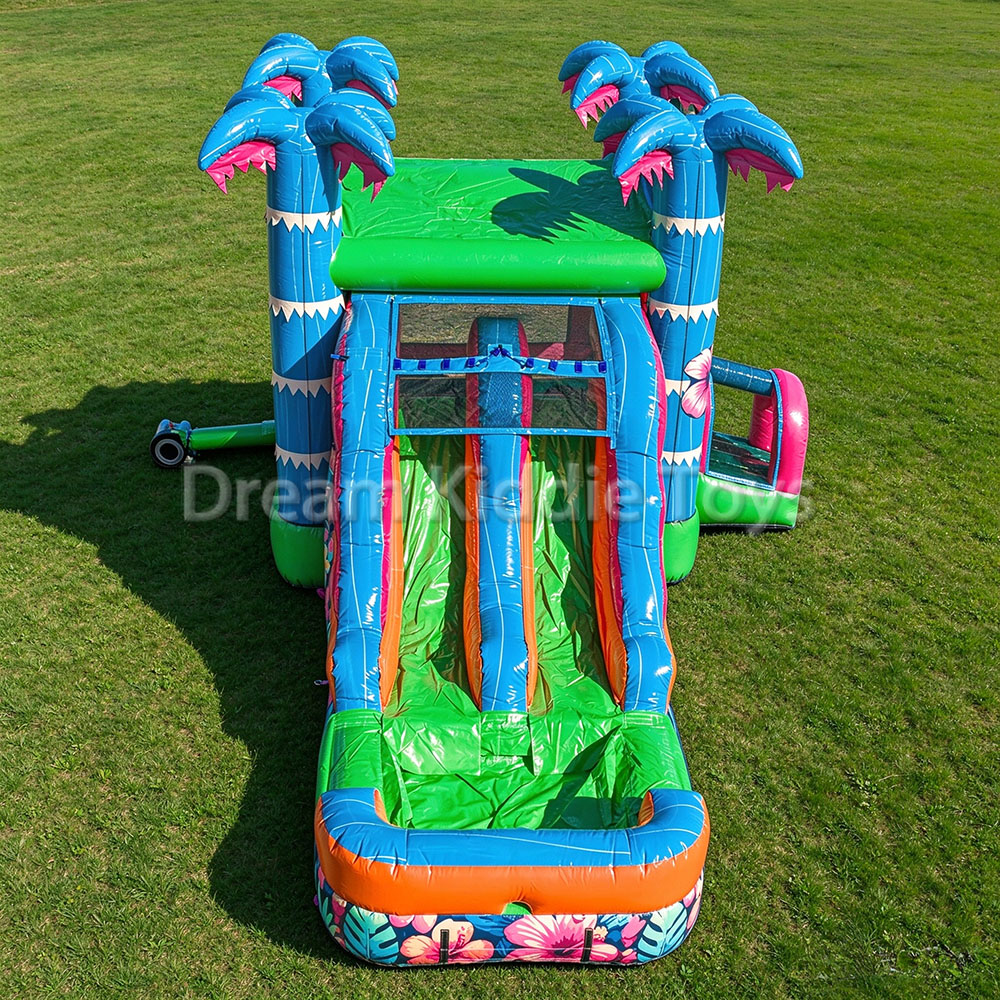 Casa Gonfiabile Commerciale co - Water Slide Inflatable recensione e prezzo